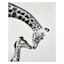 Giraffes Block, 8x10