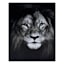 Lion Block, 8x10