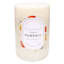Vanilla Pumpkin Scented Pillar Candle, 3x4