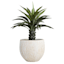 White Bark Design Concrete Outdoor Planter, Medium