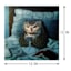 Night Owl Canvas Wall Art, 12"