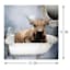 Bathtub Bull Canvas Wall Art, 12"