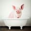 Bathtub Pig Canvas Wall Art, 12"