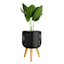 Tracey Boyd Black Polyrattan Planter Stand, Large