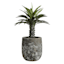 Found & Fable Bungxe Tall Ceramic Outdoor Planter, Large