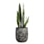 Found & Fable Bungxe Tall Ceramic Outdoor Planter, Medium