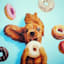 Donut Dog Canvas Wall Art, 12"