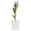 Providence White Bernalla Square Outdoor Planter, Large