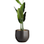 Found & Fable Black & Taupe Outdoor Planter, Large