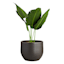 Found & Fable Black & Taupe Outdoor Planter, Medium