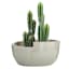 Crosby St. Grey Petal Low Bowl Outdoor Planter, Large