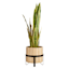 Wooden Planter Stand, Large
