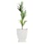Providence Audrey White Metal Outdoor Planter, Large