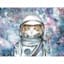 Cat in Space Canvas Wall Art, 12x16