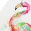 Flamingo Canvas Wall Art, 16x20