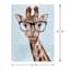 Giraffe with Glasses Canvas Wall Art, 12x16