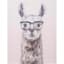 Llama Glasses Canvas Wall Art, 12x16