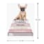 Fashion Puppy Bookstack Canvas Wall Art, 12x16