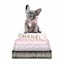 Fashion Bulldog Bookstack with Foil Canvas Wall Art, 12x16