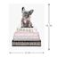 Fashion Bulldog Bookstack with Foil Canvas Wall Art, 12x16