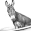 Farm Donkey in Bathtub Canvas Wall Art, 12x16