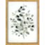 Honeybloom Glass Framed Green Eucalyptus Print Wall Art, 12x16
