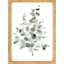 Honeybloom Glass Framed Green Eucalyptus Print Wall Art, 12x16