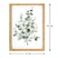 Honeybloom Glass Framed Green Eucalyptus Print Wall Art, 12x16