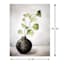 Honeybloom Botanical Eucalyptus Canvas Wall Art, 12x16