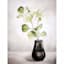 Honeybloom Botanical Eucalyptus Canvas Wall Art, 12x16