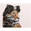 Glam Cat Canvas Wall Art, 12x16