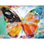 Butterfly Canvas Wall Art, 16x12