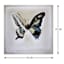 Butterfly Canvas Wall Art, 16"