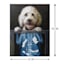 X-Ray Dog Canvas Wall Art, 12x16