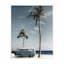 Providence Framed Palm Trees Canvas Wall Art, 11x14