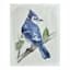 Providence Bird Canvas Wall Art, 11x14
