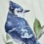 Providence Bird Canvas Wall Art, 11x14