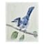 Providence Bird Canvas Wall Art, 11x14