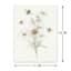 Daisies Canvas Wall Art, 11x14