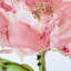 Pink Floral Embellished Canvas Wall Art, 14"
