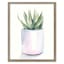 Glass Framed Potted Succulent Wall Art, 17x21