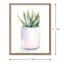Glass Framed Potted Succulent Wall Art, 17x21