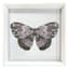Laila Ali Glass Framed Butterfly Print Wall Art, 13"