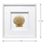 Providence Glass Framed Gold Shell Wall Art, 17"