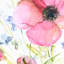 Early Bloom Canvas Wall Art, 24"