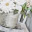 Framed Potted Flowers Canvas Wall Art, 20x24