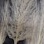 Tree Silhoutte II Canvas Wall Art, 21x41
