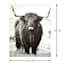 Ty Pennington Highland Cow Canvas Wall Art, 22x28