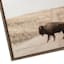 Ty Pennington Framed Buffalo Canvas Wall Art, 22x27