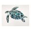 Ty Pennington Turtle Canvas Wall Art, 20x16
